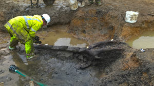 Middle Iron Age wooden ladder discovered in Cambridgeshire (c) A14C2H courtesy of MOLA Headland Infrastructure
