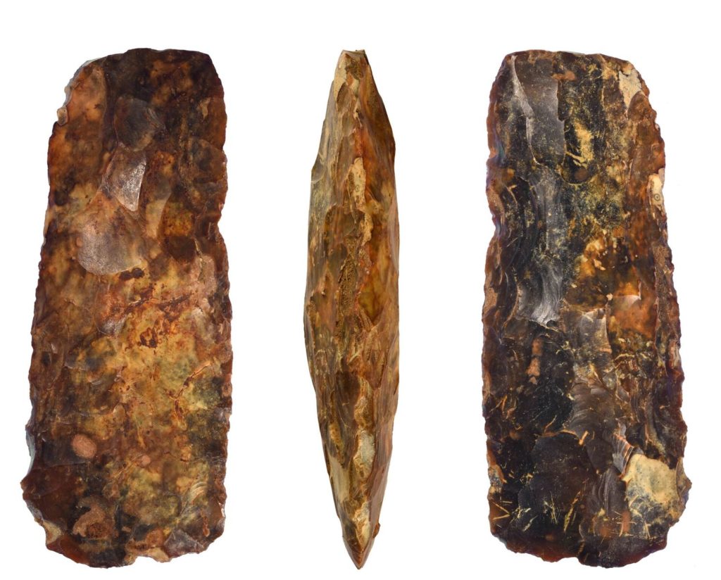 Neolithic flint axe-head (c) Highways England, courtesy of MOLA Headland Infrastructure_preview