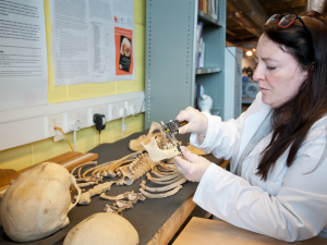 Osteologist from MOLA Headland studies a skeleton excavated for HS2 (c) MOLA Headland Infrastructure