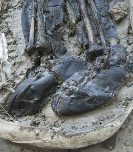 The boots discovered on the skeleton of a medieval man during Tideway excavations (c) MOLA Headland Infrastructure