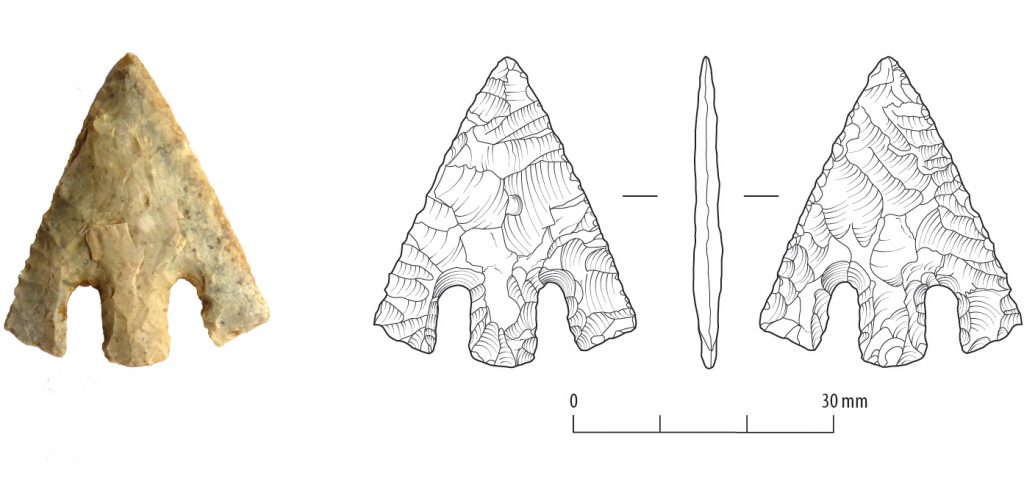 Image showing a yellowish piece of flint, worked into the shape of a barbed and tanged arrowhead. On the right is a line drawing of the same object, showing its front, back view and profile.