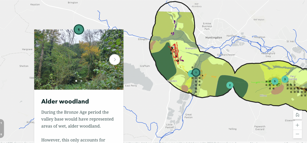 Screenshot of the vegetation storymap showing information about Bronze Age woodland